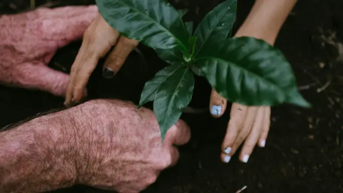 a person holding a plant in a garden