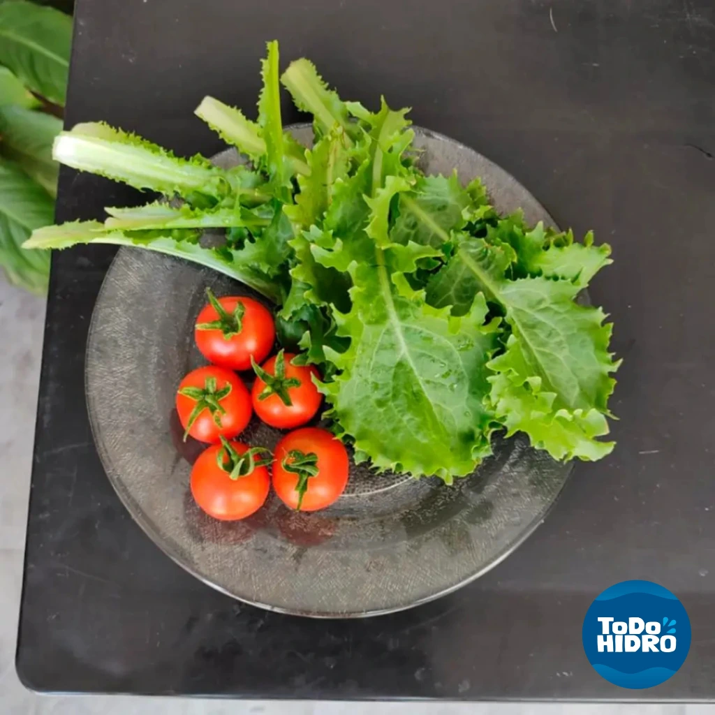 todohidro-brasil-2.webp