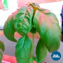 todohidro-brasil-11.webp