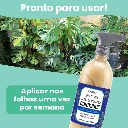 3.webp