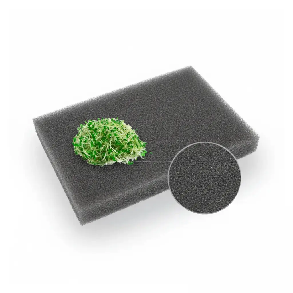 sponge-esponja-negra-preta-black.webp