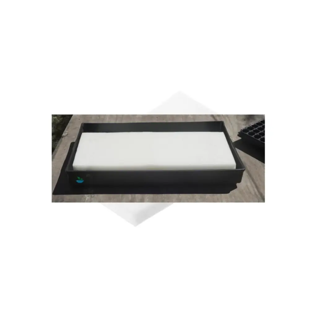 sponge_plate-2.webp