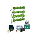 Kit hidropônico N5 NFT System para 32 plantas, jardim interno completo com nutrientes, sementes e acessórios