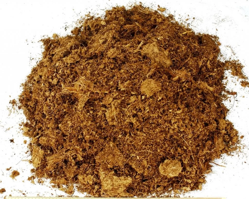 Turfa Loira Premium Substrato Natural Cultivos (1 Litro)