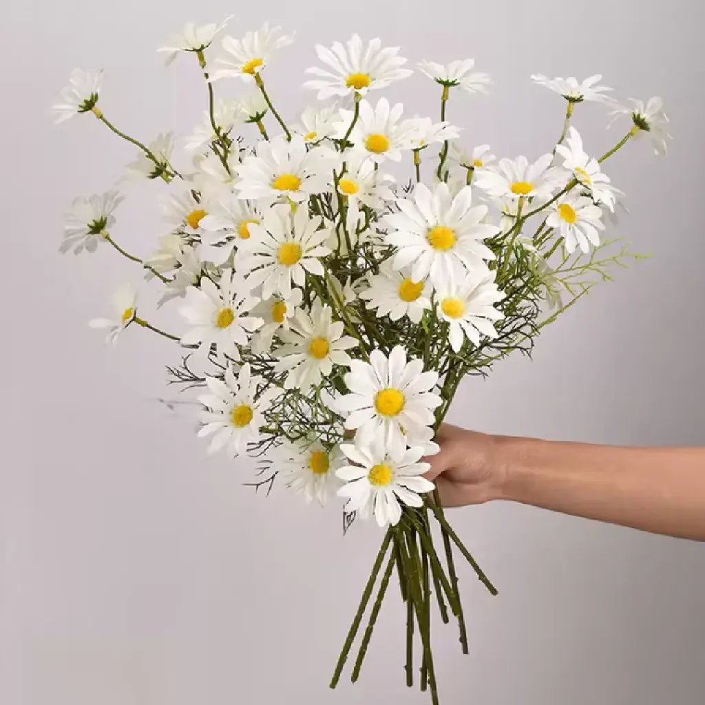 [SEM-00101] Flor Margarida Branca