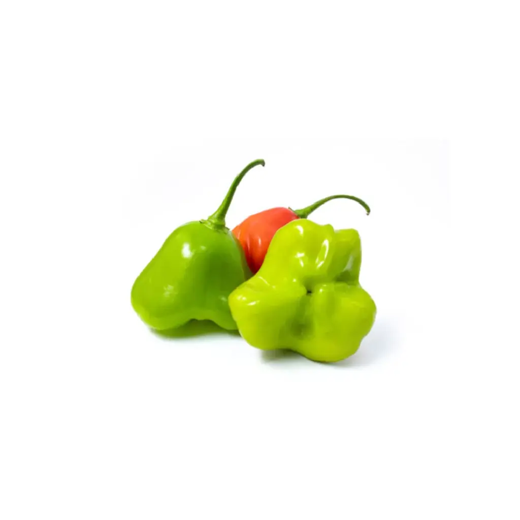 [SEM-00171] Pimenta Cambuci