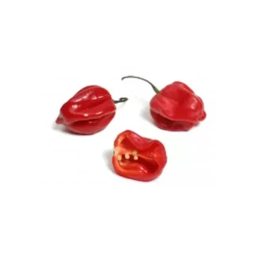 [SEM-00175] Pimenta Habanero Vermelha