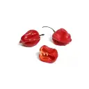 Pimenta Habanero Vermelha