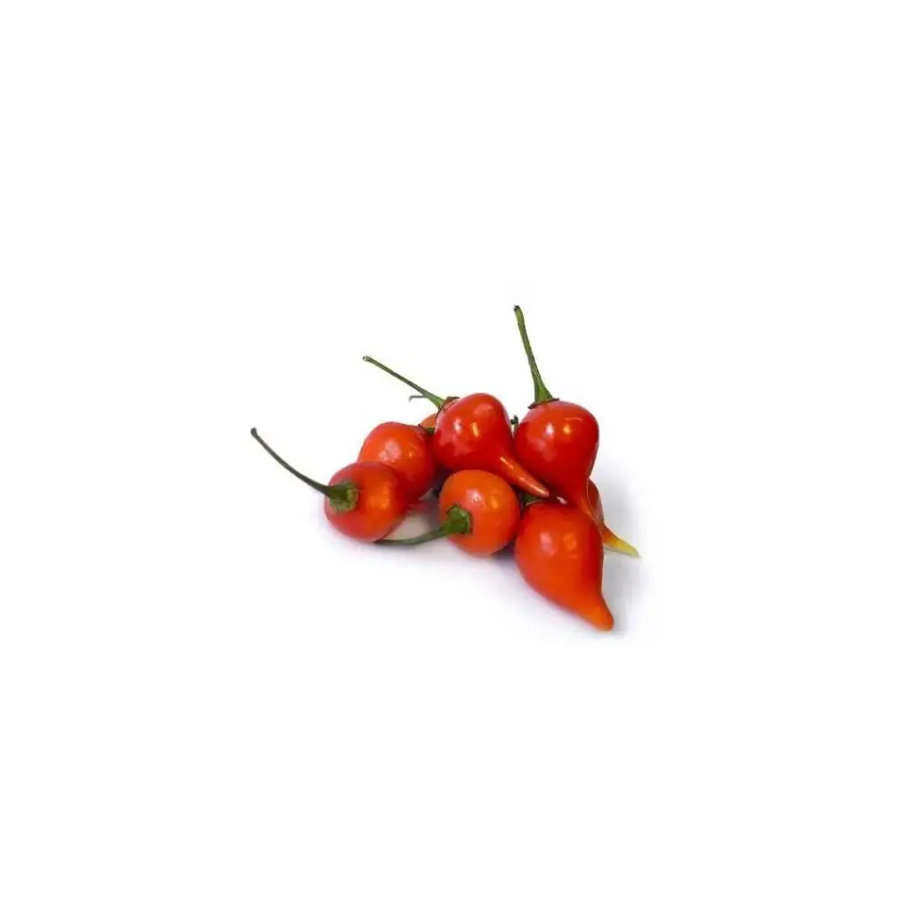 [SEM-00184] Pimenta Piãozinho