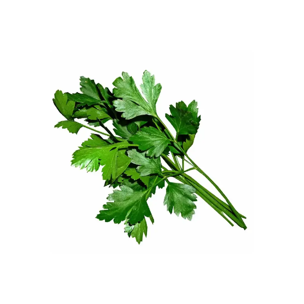Salsa
