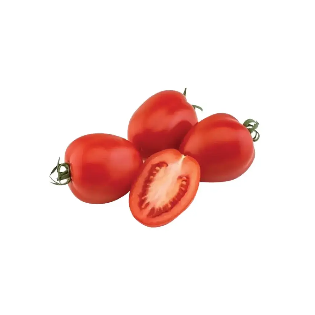 [SEM-00263] Tomate Italiano