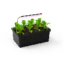 Cloner Aeropônico de 11 Estacas com LED e Nutrientes